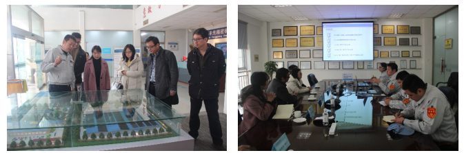 16492403722979441zD7.png 1.png